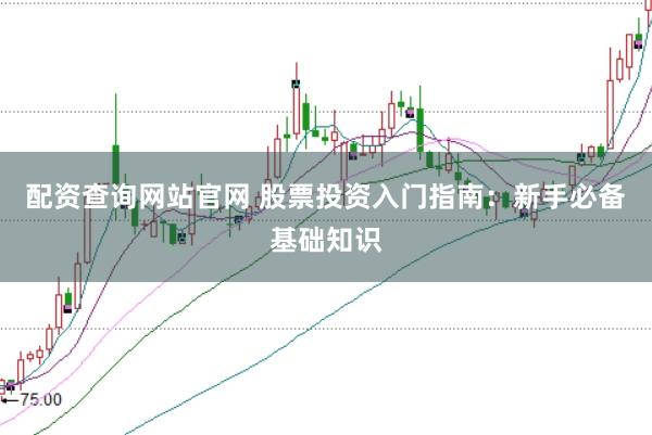 配资查询网站官网 股票投资入门指南：新手必备基础知识