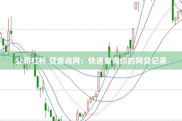 公司杠杆 贷查询网：快速查询你的网贷记录