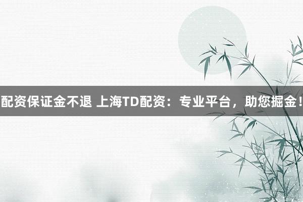 配资保证金不退 上海TD配资：专业平台，助您掘金！