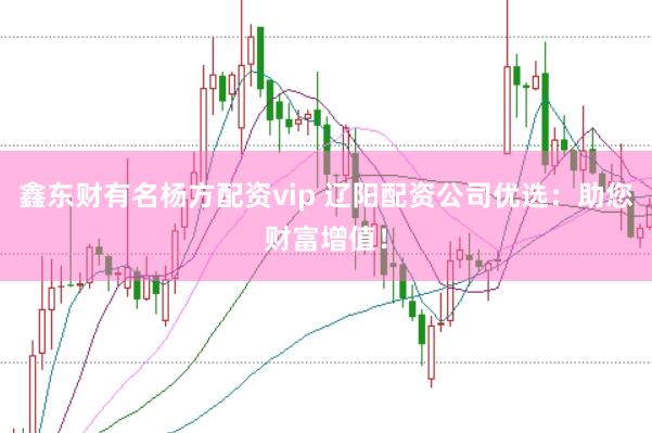 鑫东财有名杨方配资vip 辽阳配资公司优选：助您财富增值！