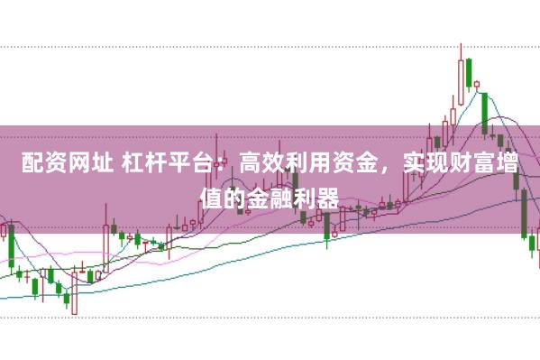 配资网址 杠杆平台：高效利用资金，实现财富增值的金融利器