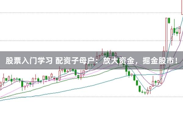 股票入门学习 配资子母户：放大资金，掘金股市！