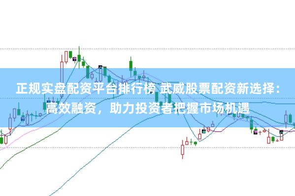 正规实盘配资平台排行榜 武威股票配资新选择：高效融资，助力投资者把握市场机遇