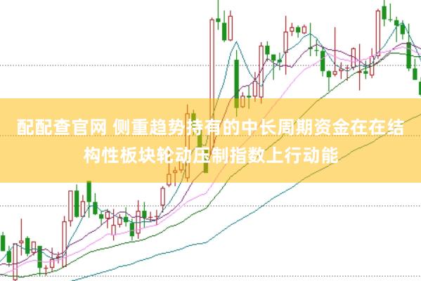 配配查官网 侧重趋势持有的中长周期资金在在结构性板块轮动压制指数上行动能