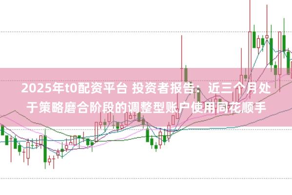 2025年t0配资平台 投资者报告：近三个月处于策略磨合阶段的调整型账户使用同花顺手