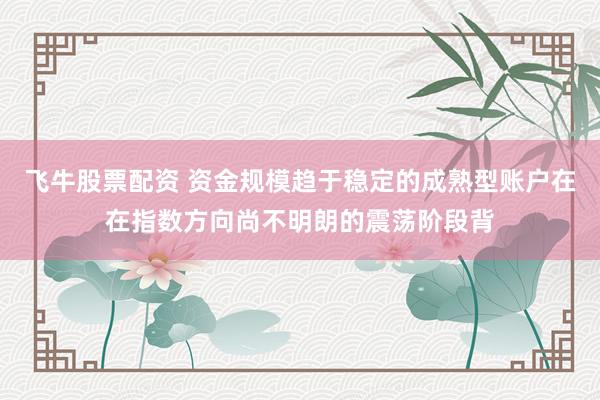 飞牛股票配资 资金规模趋于稳定的成熟型账户在在指数方向尚不明朗的震荡阶段背