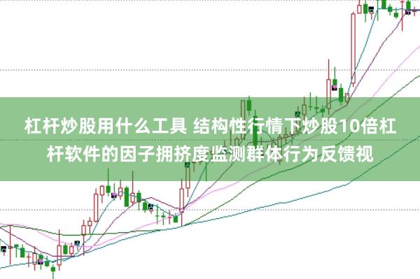 杠杆炒股用什么工具 结构性行情下炒股10倍杠杆软件的因子拥挤度监测群体行为反馈视