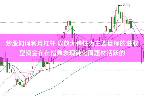 炒股如何利用杠杆 以放大弹性为主要目标的进取型资金在在指数表现钝化而题材活跃的