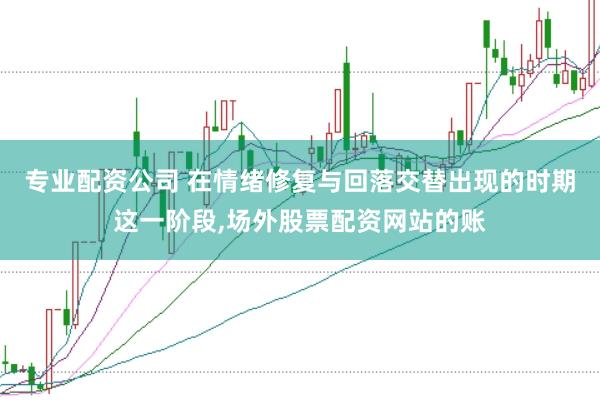 专业配资公司 在情绪修复与回落交替出现的时期这一阶段,场外股票配资网站的账