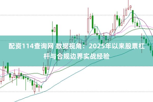 配资114查询网 数据视角：2025年以来股票杠杆与合规边界实战经验