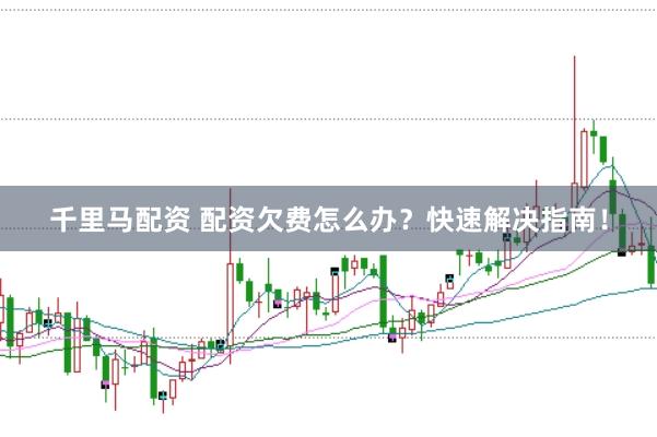 千里马配资 配资欠费怎么办？快速解决指南！