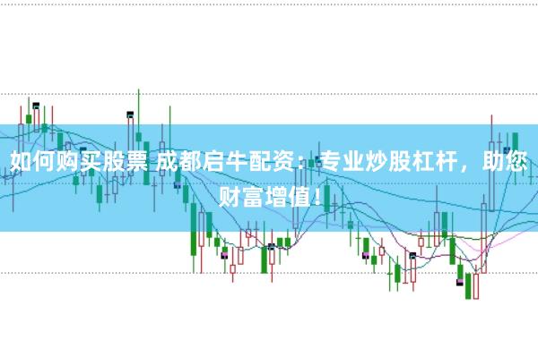 如何购买股票 成都启牛配资：专业炒股杠杆，助您财富增值！