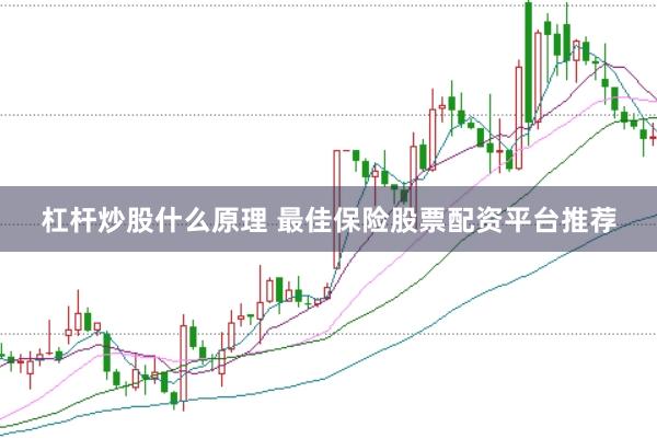 杠杆炒股什么原理 最佳保险股票配资平台推荐
